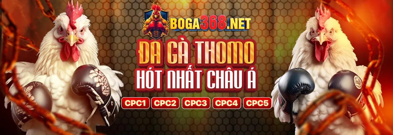 Đá Gà Trực Tuyến 79kink 2026