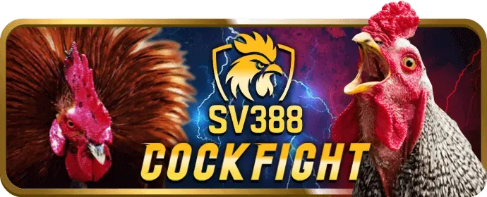 Hoàn Trả Thể Thao & Casino Cao Nhất Thị Trường 79kink